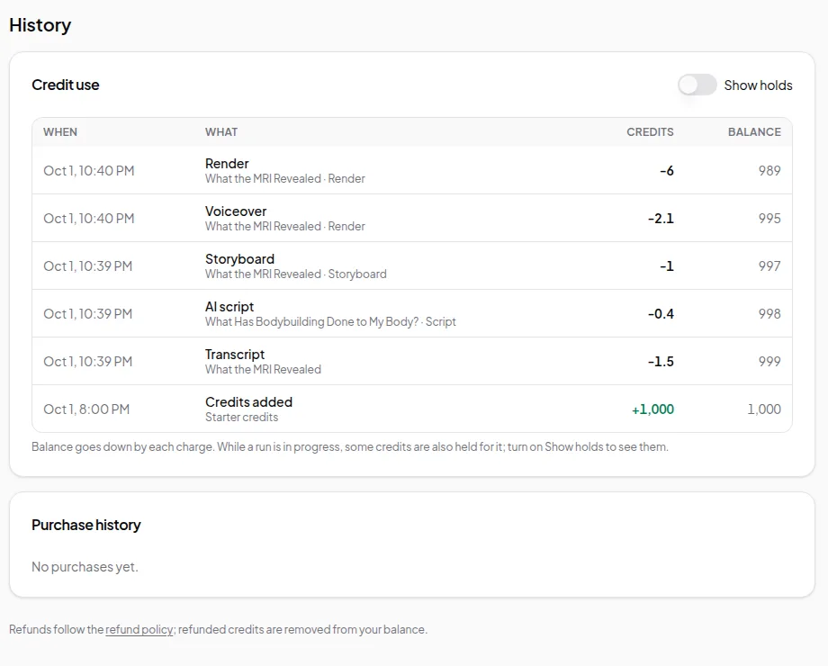 The credit history table with entries for Render, Voiceover, Storyboard, AI script, Transcript and Credits added, each with the credits used and the balance after