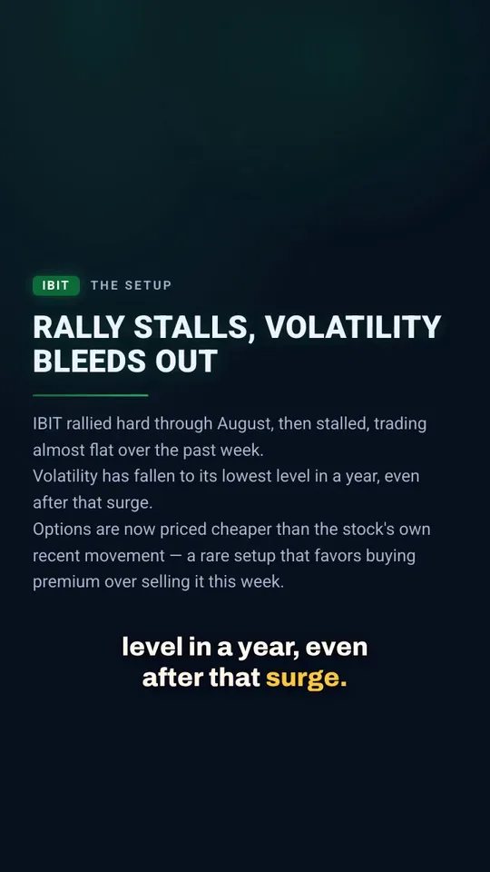 A vertical polished video frame with a bold headline, short supporting text and a caption that highlights the spoken word